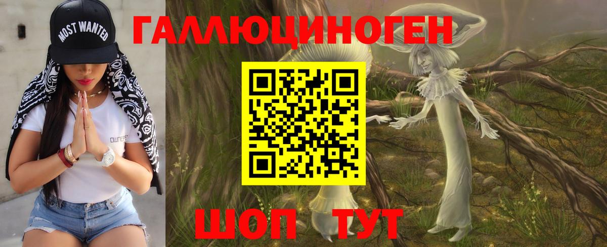 Галлюциногенные грибы MAGIC MUSHROOMS  Вход с VPN  Россошь  Псилоцибиновые грибы мухоморы 